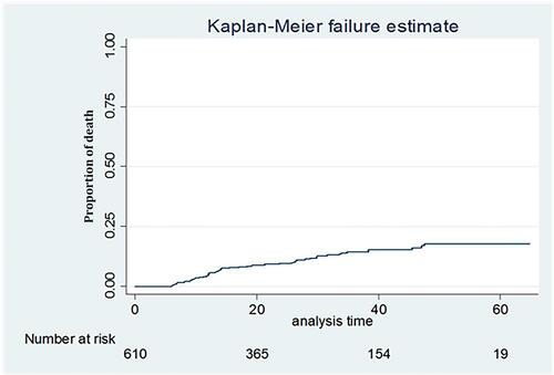 Figure 2 Kaplan–Meier probability of survival curve among HIV-infected adult patients initiated ART in Harar Hospitals, East Ethiopia, 2019.