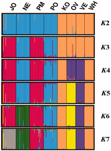 Figure 2. Clustering of the four studied populations and the four reference breeds with STRUCTURE analysis. JO: Jozini; NE: Newcastle; PM: Pietermaritzburg; PO: Port Shepstone; KO: Potchefstroom Koekoek; OV: Ovambo; VE: Venda; WH: White Sussex.