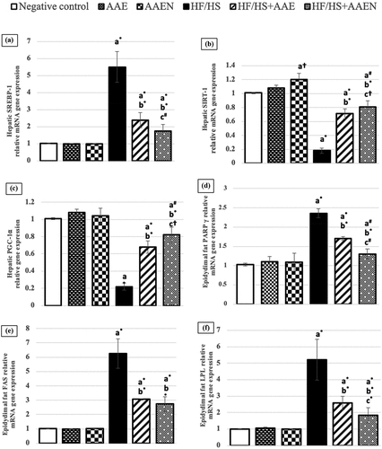 Figure 6. Effects of Artemisia extract and Artemisia extract nanoparticles on hepatic relative mRNA gene expression of (a) SREBP-1, (B) SIRT-1, and (c) PGC-1⍺, and epididymal fat relative mRNA gene expression of (d) PARP- γ, (e) FAS and (f) LPL in rats fed on a basal diet or HF/HS diet. Data are displayed as the mean ± SD. The letters a, b, and c represent significant differences from the negative control, positive control, and HF/HS + AAE groups, respectively. †, #, and * demonstrate statistical significance at p < 0.05, p < 0.01, and p < 0.001, respectively, using one-way ANOVA followed by the Post hoc tests.