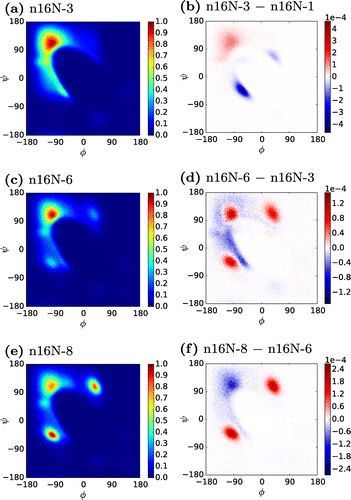 Figure 2. (Colour online) Ramachandran heat maps of n16N systems, accompanied by difference maps between neighbouring system sizes. In the difference maps, positive values are those more favoured in the larger system.