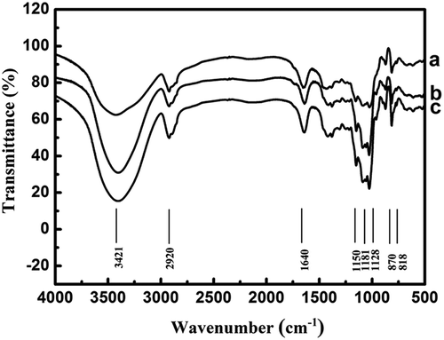 Figure 1. FT-IR spectrum of native TG and its degradation products (a: TG; b: DP prepared by H2O2 system; c: DP prepared by H2O2+VC system).