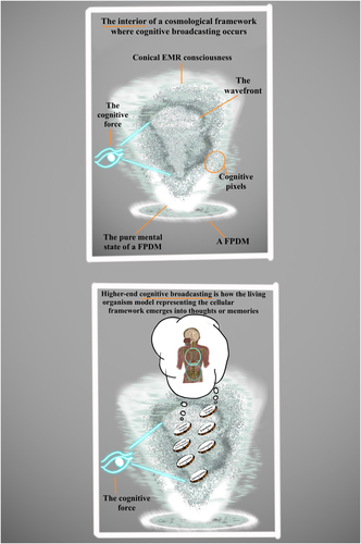 Figure A5. Cognitive broadcasting. The aspects of cognitive broadcasting (Top). The levels of cognitive broadcasting and the components these levels create through the cognitive force broadcasting signals cognitively (Bottom).