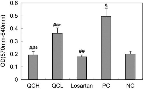 Figure 3. The effects of drug-containing serum on AF proliferation. AFs were treated with TGF-β1 for 24 h. Cell growth was measured with the MTT assay. The values shown represent the mean ± SEM, n = 3. &, p < 0.01 compared to NC; #, p < 0.05 compared to PC; ##, p < 0.01 compared to PC; *, p > 0.05 compared to losartan; **, p < 0.05 compared to losartan; Student’s t-test.