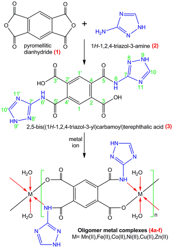 Figure 1. Synthetic route for the oligomer–metal complexes.