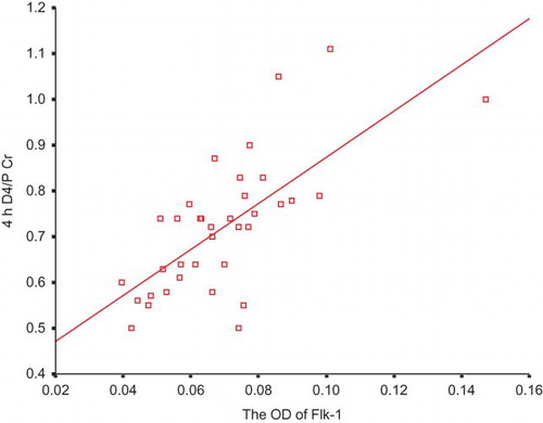 Figure 10. Association of the expression of Flk-1 and the value of D4/P Cr (ρ = 0.700, p < 0.001, n = 36).