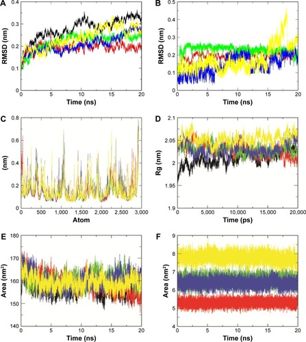 Figure 5 Backbone root mean square deviation values (A), root mean square fluctuations of backbone atoms (C), radius of gyration of backbone atoms (D), solvent accessible surface area (E) of HER2a, HER2b, HER2c, HER2d, and HER2e, and backbone RMSD and SASA values (B and F) for compounds 1, 2, 3, and ZINC67903192 during 20 ns molecular dynamic simulations.