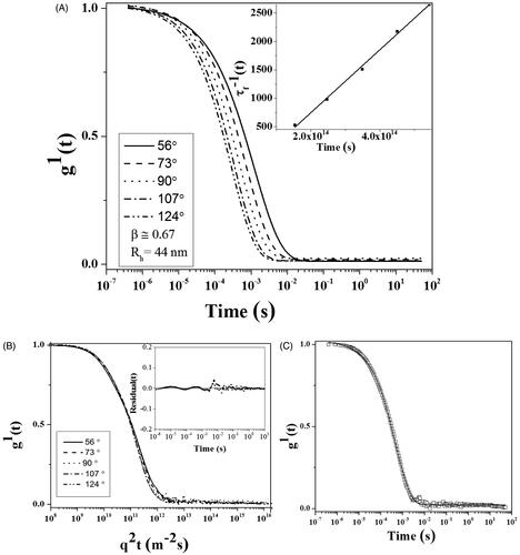 Figure 2. DLS plot of CdNPs@BSA, (A) First-order electric field correlation functions versus time at the indicated scattering angles. Inset plot: τ−1 as a function of q2. (B) First-order electric field correlation functions versus q2t at the indicated scattering angles. The inset plot shows random distribution and small values of the residuals. (C) First-order electric field correlation functions and their corresponding fits at 90°.