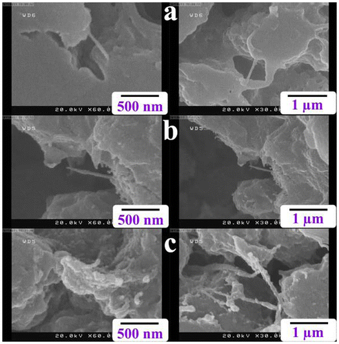 Figure 4. FE-SEM micrographs of (a) R-PET/MWCNT-Gl NC 1 wt.%, (b) R-PET/MWCNT-Gl NC 2 wt.%, and (c) R-PET/MWCNT-Gl NC 4 wt.%.