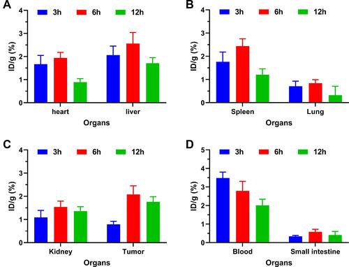 Figure 9 The in vivo biodistribution of CNPs in (A) heart and liver; (B) spleen and lung; (C) kidney and tumor; (D) blood and small intestine at 3, 6 and 12 hours after tail vein injection into tumor-bearing mice.