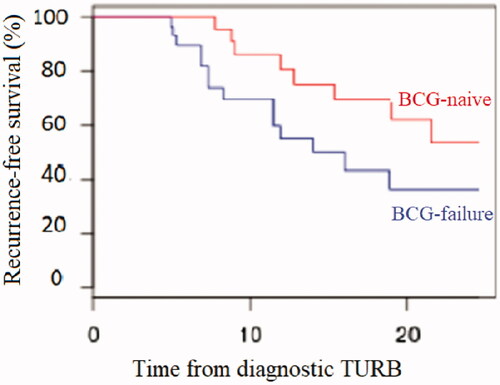 Figure 1. Kaplan-Meier curves for recurrence-free survival: BCG-failure versus BCG-naive sub-group analysis.