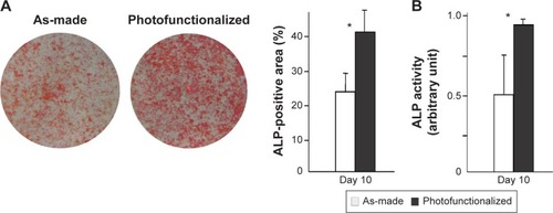 Figure 8 ALP activity of osteoblasts at day 10 on biomimetic apatite-deposited titanium disks.Notes: (A) Images after ALP staining and densitometrically quantified ALP using the images. (B) ALP activity colorimetrically evaluated. *P<0.05, significant difference between as-made and photofunctionalized titanium.Abbreviation: ALP, alkaline phosphatase.