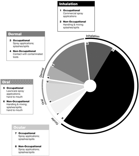 Figure 1 Illustration of relative contribution to exposure. This figure illustrates a theoretical case study of aggregate exposure to organic solvents. In this scenario, exposures may occur via multiple exposure pathways and routes. The relative contribution to total exposure to organic solvents is proportionally represented for each of the primary exposure routes and further delineated by setting, (i.e., occupational vs. non-occupational).