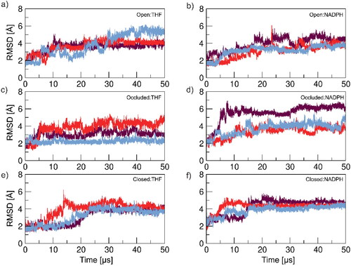 Figure 3. RMSD analysis excluding DHFR loop regions residues: 9–24, 116–132 and 142–149. The analysis monitors structural variances as a function of time. Structures were analyzed against a reference structure which was the starting structure for that respective DHFR conformation. Each colored line represents a single replica for that system.