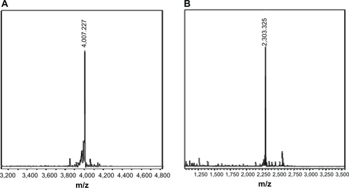 Figure S4 MALDI-TOF spectra of (A) Rho-POD and (B) Rho-HIV-Tat peptides.Abbreviations: HIV-Tat, human immunodeficiency virus transactivator; MALDI-TOF, matrix-assisted laser desorption/ionization-time of flight; Rho, 5(6)-carboxytetram-ethylrhodamine; POD, peptide for ocular delivery.