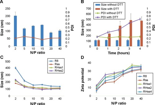 Figure 5 Particle size and zeta potential of RHss/pDNA polyplexes at different N/P ratios.Notes: (A) Particle size and PDI distribution of RHss4/DNA. (B) Size and PDI changes in RHss4/pDNA polyplexes with or without DTT. (C) Particle size of polyplexes prepared using DNA with R8, Rss, RHss1, and RHss2, respectively, (D) Zeta potential of polyplexes prepared using DNA with R8, Rss, RHss1, RHss2, and RHSS4, respectively. Data are expressed as mean ± SD (n=3). The N/P ratio is the ratios of moles of the amine groups of cationic polymers to those of the phosphate groups of DNA.Abbreviations: DTT, dithiothreitol; PDI, polydispersity index; pDNA, plasmid DNA; SD, standard deviation; RHss, reducible chimeric polypeptide containing two functional peptides: octa-d-arginine and tetra-l-histidine peptides; Rss, single cross-linked R8 peptide.