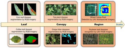 Figure 12. Some applications of crop diseases recognition in RS images.