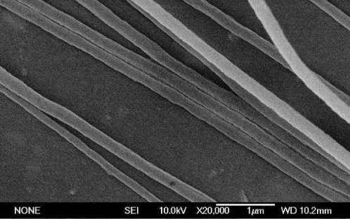 Figure 2. SEM images of as-spun nanofibres.