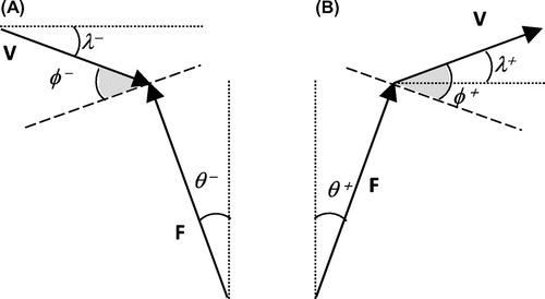 Figure 1 Deviation of F from the vertical (θ), of V from the horizontal (λ) and collision angle (ϕ) over the absorptive (A) and generative (B) phases.