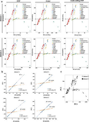 Figure 3. The comparison of k-mers and SNP-based principal component analyses (PCA). (a) PCA were based on different genetic markers from dataset 1 and dataset 2, respectively. (b) Correlation between SNP- and k-mers based PC1 and PC2 in dataset 1 and dataset 2, respectively. (c) The comparison of PCA results that based on k-mer counts from dataset 2 (grep) and dataset 3 (black).