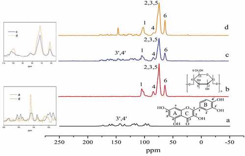 Figure 3. Citation13C CP/MAS spectra of (a) quercetin, (b) amylose, (c) amylose/quercetin physical mixtures, and (d) amylose/quercetin complexes (5% w/w). Inset in Fig. 3: Citation13C CP/MAS spectra of (c) and (d) in the range of 60–110 ppm (upper left), Citation13C CP/MAS spectra of (a) and (d) in the range of 120-180ppm (lower left)