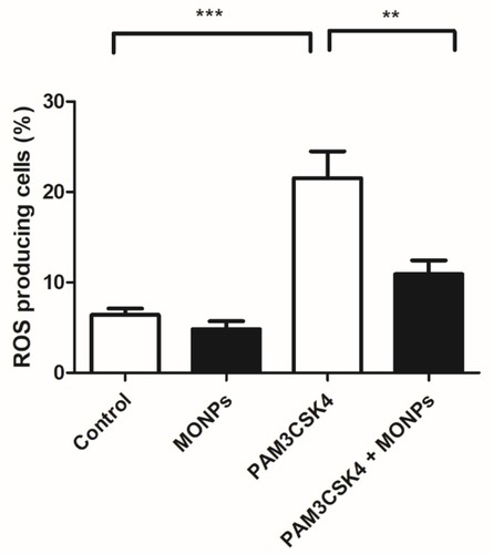 Figure 4 MONPs reduce ROS production induced by TLR1/2 agonist PAM3CSK4. The bone-derived macrophages are either untreated (Blank) or treated with MONPs (20 μg) or stimulated with triacylated bacterial lipopeptide PAM3CSK4 (5 μg/mL) or pre-incubated MONPs for 30 mins followed by the addition of PAM3CSK4 (5 μg/mL). The cells were further incubated for 12 hrs and readings were noted at FL-1 channel using a flow cytometer after the addition of DCFHDA. ROS generation was measured in triplicate. The data shown are the mean ± SD values of 3 individual experiments. **p < 0.01 versus untreated control, ***p < 0.001 versus untreated control.Abbreviations: MONPs, manganese oxide nanoparticles; PAM3CSK4, PAM3CSK4, Pam3CysSerLys4; TLR 1/2, Toll-like receptor ½; DCFHDA, 2′,7′-dichlorofluorescin diacetate; ROS, reactive oxygen species.