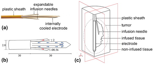 Figure 1. (a) Internally cooled-wet (ICW) electrode used in the clinical trial. (b) Electrode scheme and dimensions (in mm, out of scale). Blue arrows indicate the internal flow of cooling liquid while red arrows show the outflow of hypertonic saline through expandable needles. (c) Geometry of the three-compartment model used in the computational study. Note that the geometry of infused tissue is for illustrative purposes only, i.e. it does not coincide with the contour geometry of saline-infused tissue computed from the “generic pattern” (shown in Figure 2(b,c), respectively).