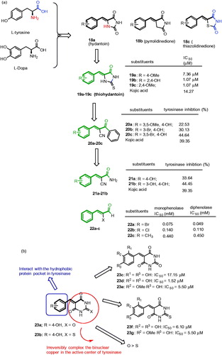 Figure 8. Chemical structure of inhibitors with β-phenyl-α,β-unsaturated carbonyl functionality, 18a–18c,Citation77–80 19a–19c,Citation81 20a–20c,Citation8221a–21b,Citation83 22a–22cCitation85 (a); 23a–23bCitation85 and 23c–23gCitation88 (b).