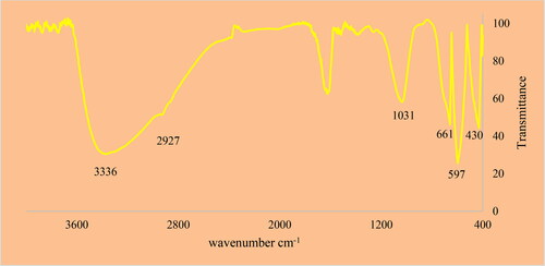 Figure 4. FT-IR Spectrum of SnNPs.