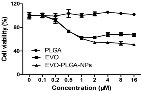 Figure 5. Cell proliferation was assessed after treating cells with EVO and EVO-loaded PLGA nanoparticles in MCF-7 cells by MTT assay. Cell viability was expressed as a percentage of the control (untreated cells). All assays were performed in six replicates and repeated at least three times (n ≥ 3).