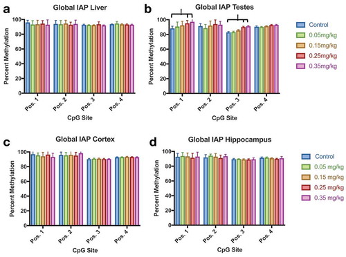 Figure 9. IAP DNA Methylation Effect of DAC exposure on Global IAP methylation. (a) Liver. (b) Testes. (c) Cortex. (d) Hippocampus. Testes methylation increases at CpG position 1 and position 3 in groups 0.25 mg/kg and 0.35 mg/kg, but not within lower doses of DAC exposure. Single stars indicate p-values<0.05, when compared to controls. Error bars indicate standard error