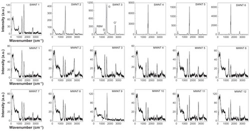 Figure 2 Raman spectra of multi-walled and single-walled carbon nanotubes. Dry powder samples of six single-walled carbon nanotubes and twelve multi-walled carbon nanotubes were analyzed using Raman spectroscopy at a wavelength of 532 nm. Spectra are shown as Raman intensity as a function of wavenumber (cm−1), where characteristic peaks representing the radial breathing mode, D-band, G-mode, and G’-mode for a typical carbon nanotube Raman spectrum are shown in panel 3 (single-walled carbon nanotube sample 3).Abbreviations: SWNT, single-walled carbon nanotubes; MWNT, multi-walled carbon nanotubes.