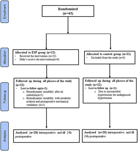 Figure 1 CONSORT flow diagram.