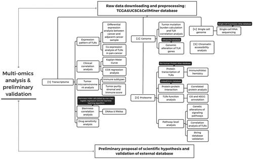 Figure 1. Flow chart.