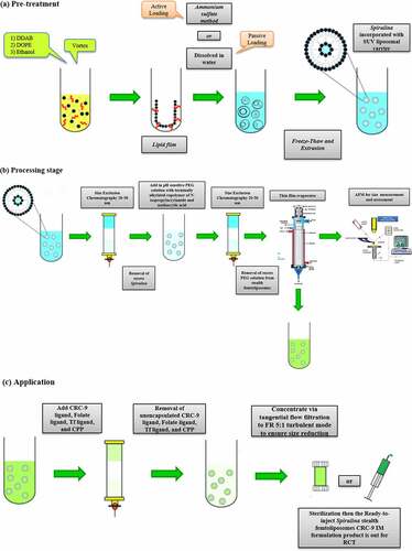 Figure 8. The procedures to produce a purified A. platensis stealth femtoliposomes-CRC-9 ligand-specific IM formulation can be separated into three stages (a) Pre-treatment (b) Processing stage (c) Application.