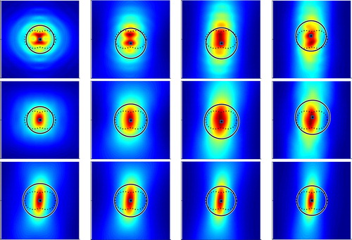 Figure 7. The reconstructions of the peanut with backward-scattering limited aperture data.