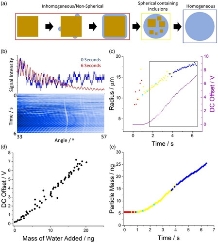 Figure 6. (a) Schematic of the four steps/phases of the dissolution of a NaCl crystal in the aerosol phase; the colored squares indicate the structure of the particle droplet for (c) and (e). Data shown in (b) to (e) are from the same dissolving NaCl crystalline particle. (b) Changes in the phase function of a dissolving NaCl crystal in a gas flow with a relative humidity of 88% as a function of time. (c) Change in radius, particle structure and relative mass (inferred from the DC offset) as a function of time for a dissolving NaCl particle. (d) Correlation between the absolute mass of water added to the dissolving NaCl crystal and the DC offset necessary to keep the particle in the middle of the trap. The data used to generate this figure were taken from the inset square in (c). (e) The absolute mass and morphology of a dissolving NaCl crystal/droplet.