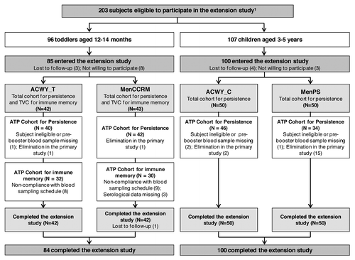 Figure 1. Participant flow. ACWY_T, toddlers vaccinated with MenACWY-TT at 12–14 mo of age; MenCCRM, toddlers vaccinated with MenC-CRM197 at 12–14 mo of age; ACWY_C, children vaccinated with MenACWY-TT at 3–5 y of age; MenPS, children vaccinated with MenPS at 3–5 y of age; ATP, according to protocol; TVC, total vaccinated cohort; N, number of participants. 1Several formulations were evaluated in the primary study, but participants who received the selected formulation for further development or control vaccine were eligible to participate in the persistence study. Participants who withdrew from the primary phase were described in the previous publication.Citation6