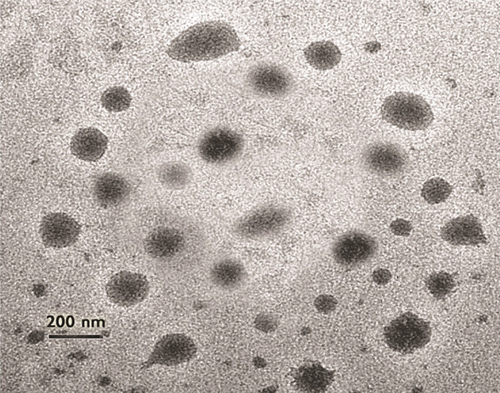 Figure S2 Engineered andrographolide nanosystems in water: transmission electron microscopy.