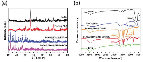 Figure 2. (a) Powder XRD patterns and (b) FTIR spectra of different nanoparticles.