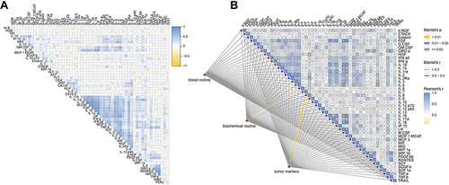 Figure 2 The correlation heatmap analysis of the relationship among cytokines and clinical characteristics. (A) Correlation analysis of all cytokines and clinicopathological factors. (B) Mantel test for association analysis between all cytokines and blood routine, biochemical routine, and tumor marker matrices, respectively.