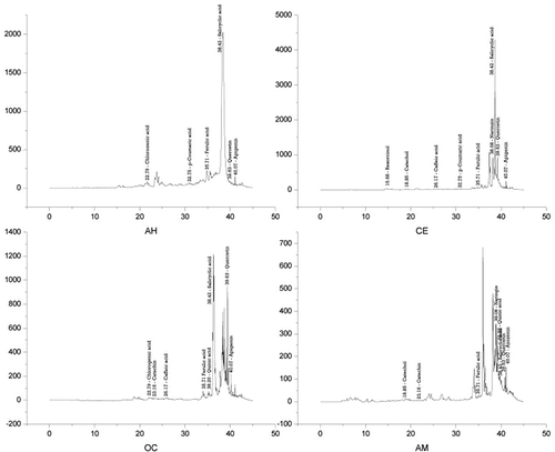 FIGURE 1 HPLC chromatograms of the PPE for detection of phenolic compounds (AH: A. heterophyllus; CE: C. extensa; OC: O. corymbosa; AM: A. malaccensis).