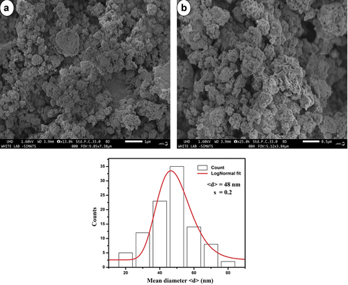 Figure 6. Scanning electron microscope images and the particle size distribution of Ag-Se doped fucoidan nanocomposites.