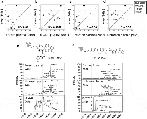 Figure 1. Lack of in vitro plasma stability translation to in vivo results. Correlation of mouse in vivo stability with in vitro stability for 13 TDC conjugates in frozen mouse plasma (a and b) and unfrozen mouse plasma (c and d) at 24 hr or 96 hr where 0 = no loss (stable) and 100 = complete loss (unstable); “loss” = linker-drug deconjugation and/or inactivating payload metabolism. Axes represent percent loss of drug relative to 0 h. (e, f) Specific examples of mouse plasma stability of MS spectra DAR profiles (top, middle) showing disconnect with in vivo stability (bottom) for an anti-HER2 TDC conjugated with an anthracycline analog (PNU) (e) and an anti-HER2 TDC conjugated to MMAE (f). MS peak labels indicate an antibody (Ab, glycated (Glc)) with one linker drug (+ LD) or two (+ 2*LD) can have drug lost and replaced by a cysteine (+ Cys) or a glutathione (+ GSH) or modified (-E)