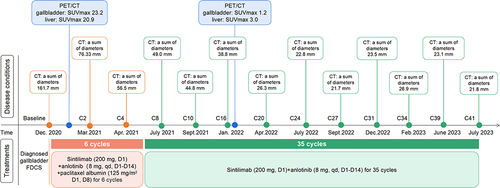 Figure 5 Timeline scheme depicted the major clinical events experienced by the patient since initial diagnosis.