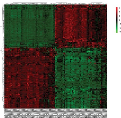 Figure 2 Heatmap plot of the 169 overlapped DEGs between lung cancer and normal samples in dataset GSE18842.Notes: Red represents higher expression and green represents lower expression.Abbreviation: DEGs, differentially expressed genes.