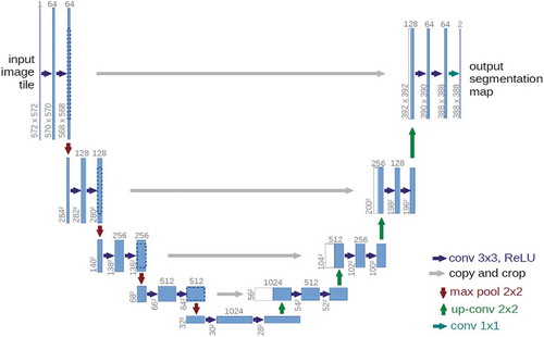 Figure 5. The U-net architecture, an example of an encoder network with skip connections (Ronneberger, Fischer, and Brox Citation2015).