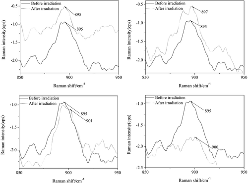 Fig. 5. Raman spectra of the paper specimens under irradiation of (a) 450 nm narrow-emitting light source, (b) 510 nm narrow-emitting light source, (c) 583 nm narrow-emitting light source, and (d) 650 nm narrow-emitting light source.