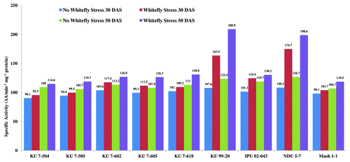 Figure 3. Specific activity of peroxidase in V. mungo leaves as influenced by B. tabaci feeding.