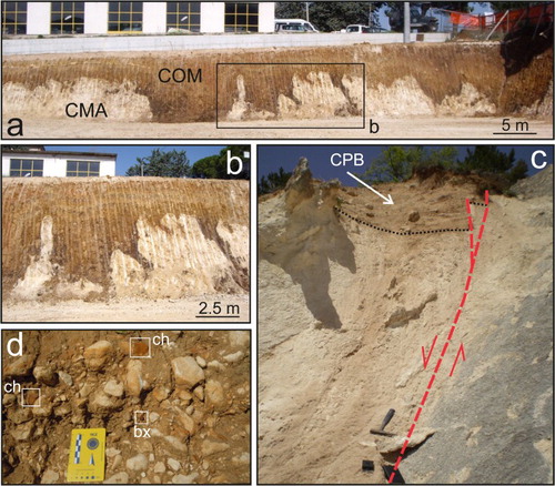 Figure 8. (a) Epikarst on calcareous breccia (Colle Macchione-L’Aquila Synthem, CMA) capped by colluviated reddish soil (Collemaggio Synthem, COM); (b): close view of the epikarst; (c) heterometric, matrix-supported slope deposits of the Campo di Pile Synthem (CPB) in the hangingwall of the Scoppito-Preturo Fault; (d) alluvial deposits, mainly carbonate gravels, of the Campo di Pile Synthem (CPF), ch: cherty gravel (cherty flakes, Mousterian industry); bx: gravel of Cenomanian bauxite coming from the Campo Felice area.