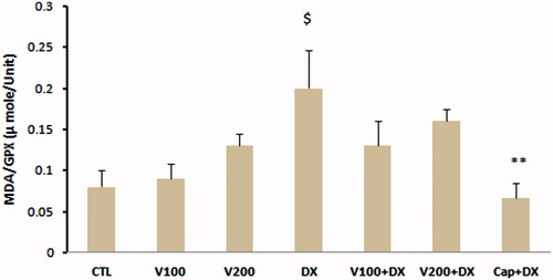 Figure 5. MDA/GPX ratio in different animal groups. n = 6–8. Values are mean ± SEM. CTL: control; W100: animal group which received 100 mg/kg/d of walnut extract; W200: animal group which received 200 mg/kg/d of walnut kernel extract; DX: animal group which received dexamethasone 0.03 mg/kg/d; W100 + DX: animal group which received 100 mg/kg/d walnut extract + dexamethasone; W200 + DX: animal group which received 200 mg/kg/d walnut extract + dexamethasone; Cap + DX: animal group which received 25 mg/kg/d captopril + dexamethasone. $p < 0.05 vs. CTL group, **p < 0.01 vs. DX group.